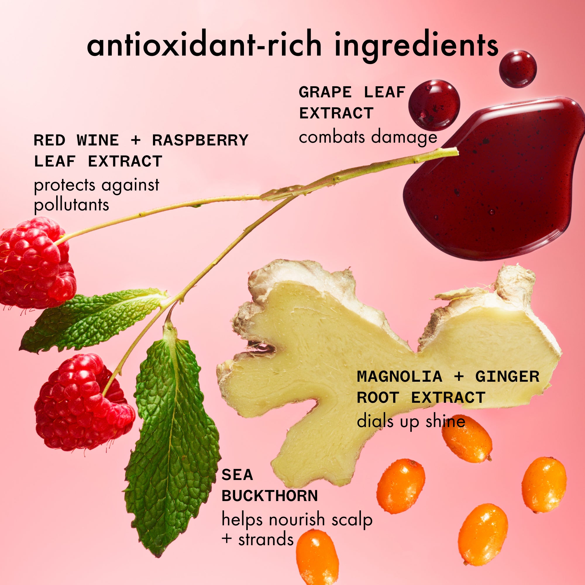 mirrorball high shine + protect antioxidant shampoo - Image 5