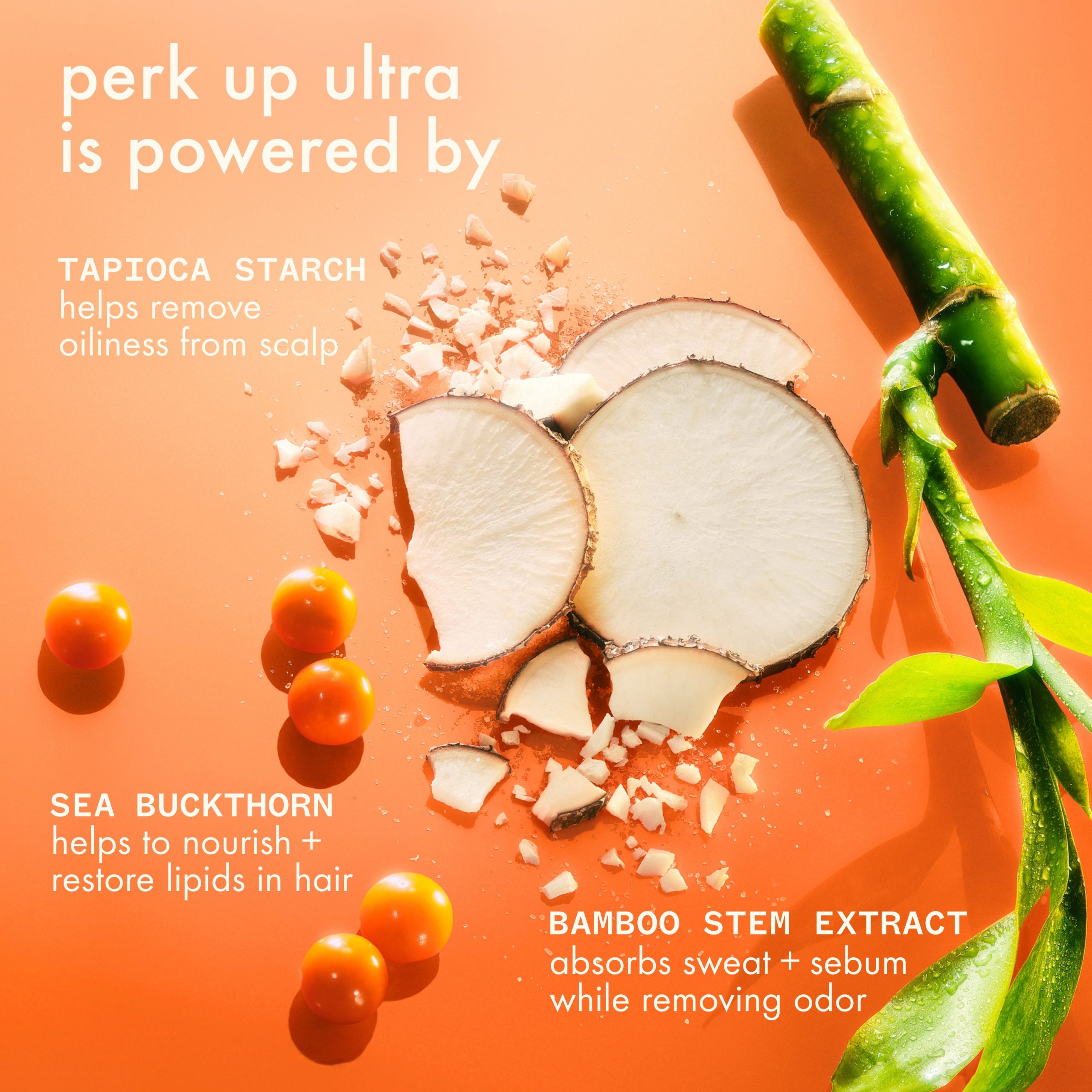 perk up ultra oil control dry shampoo - Image 4